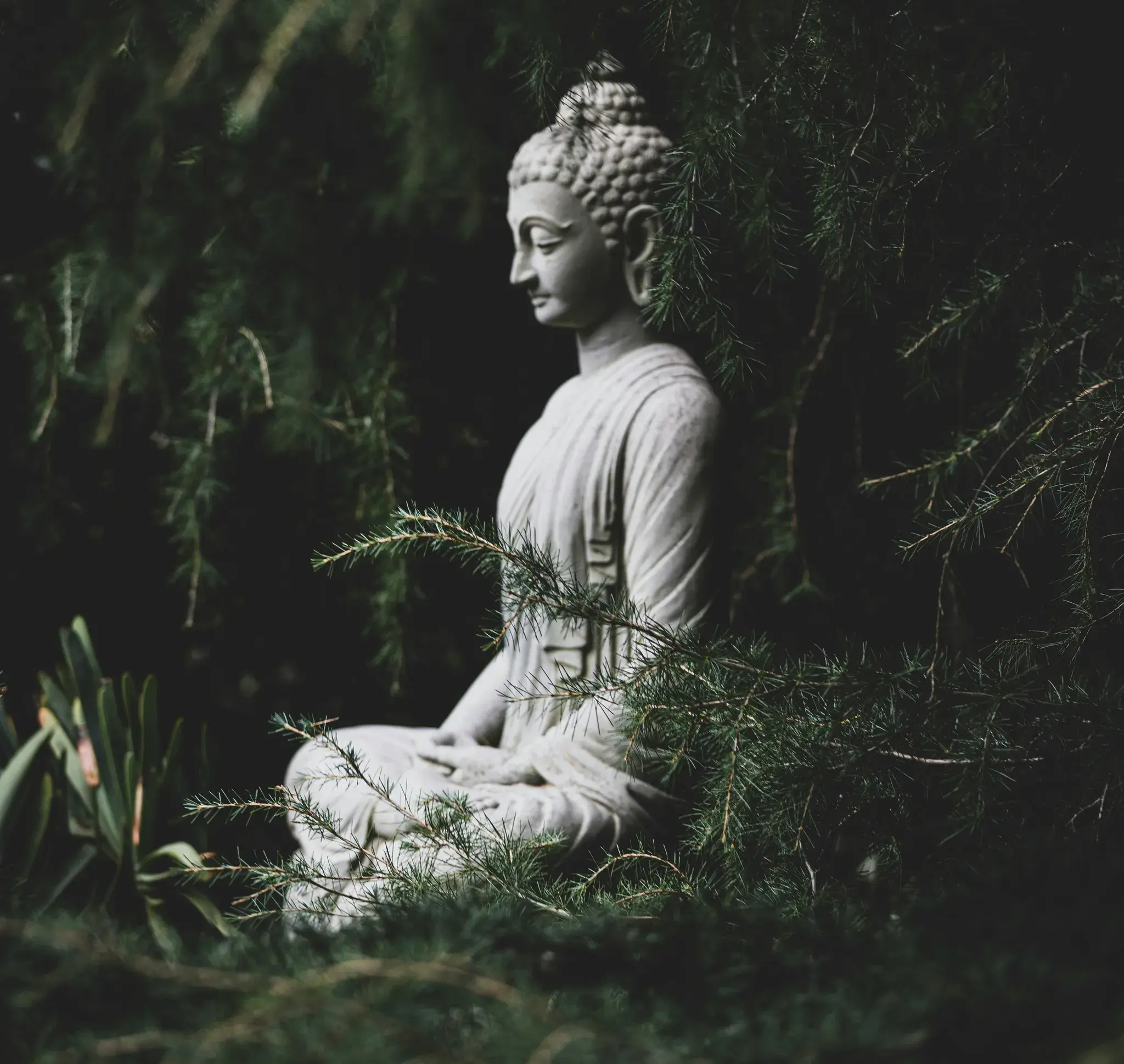 A statue of the Buddha